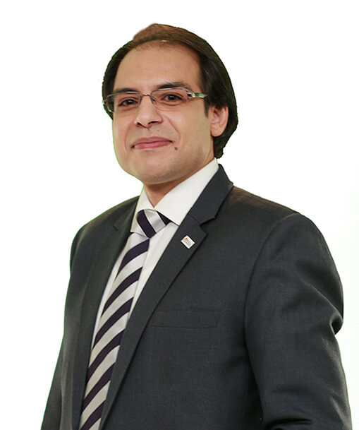 Hosam Mahmoud